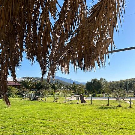 Agriturismo Su Niu Uta 외부 사진