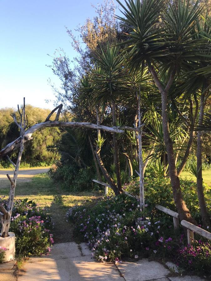 Agriturismo Su Niu Uta 외부 사진